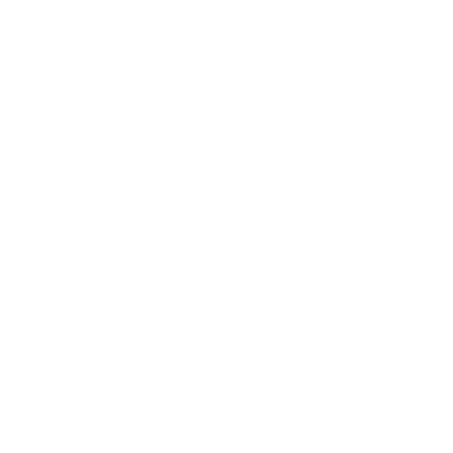 Seattle Boat Co.